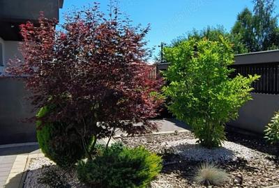 Casă cu 5 camere cu Teren 333 Mp în Central - 18