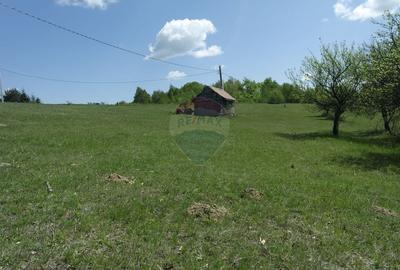 Teren extravilan de 7500 mp, în Preluca Nouă - 5