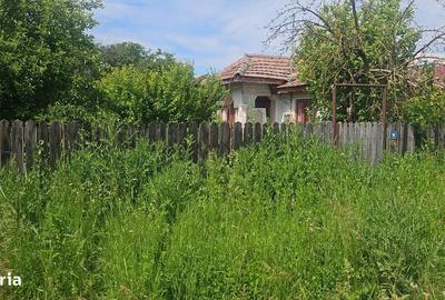 Casă cu Teren 2240 Mp în Drăgănești - 5