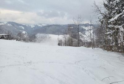 Spațiu comercial, în Cheia - 6