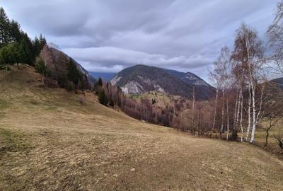 Teren investitie Pestera/ 13570mp extravilan/Comision 0 % - 8