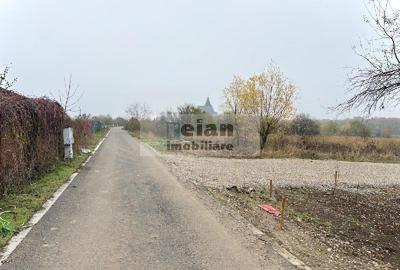 Snagov - Ciofliceni, Str Serban Cantacuzino 882 Mp, Asfalt, Utilitati - 3