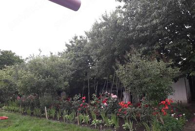 Teren de 1150 mp, în Central - 7