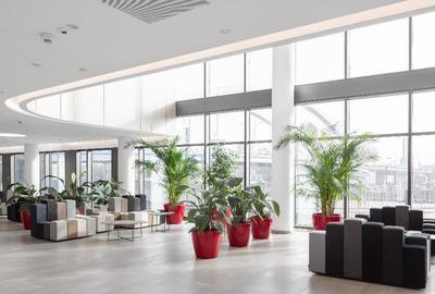 Spatiu de birouri in cladirea Orhideea Towers - Metrou Grozavesti - 4