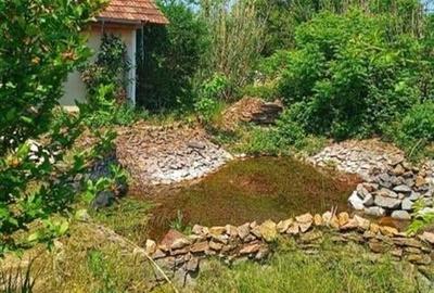 Casa cu 2 etaje si hala mare in Ineu de Cris - 26