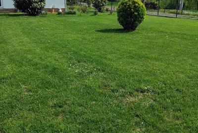 Casă individuală cu 2 camere cu Teren 3500 Mp în Calea Caransebeșului - 5