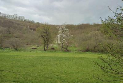 Teren de vanzare, 20.000Mp , Comuna Danes, drumul Crisului - 19