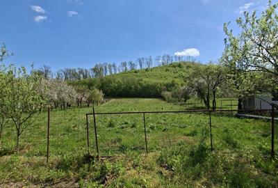 Casă cu 2 camere în Central - 5