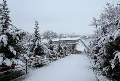 Spațiu comercial, de 320 mp, în Central - 10