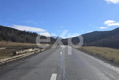 Teren de 19200 mp, în Brădet - 5