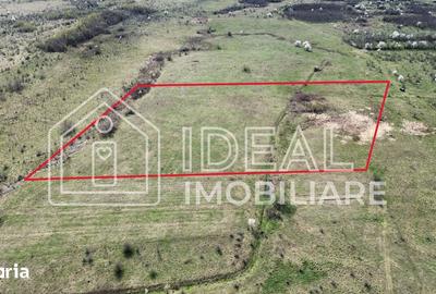 Teren de 25500 mp, în Porumbacu de Jos - 4