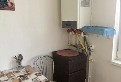 Apartament cu 2 camere semidecomandat, mobilat în Mazepa 1 - 10