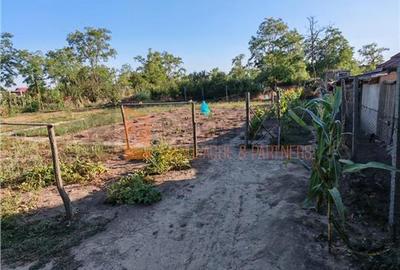 Casă individuală cu 2 camere cu Teren 1686 Mp în Maxenu - 11