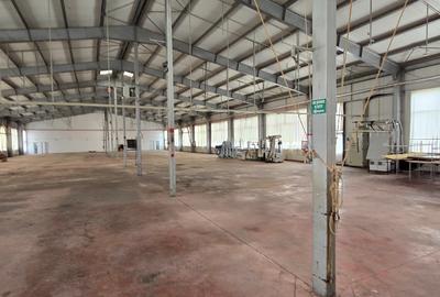 Spatii industriale  si comerciale  de inchiriat Focsani 5000 mp - 14