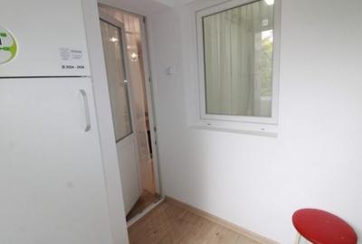Inchiriere garsoniera renovata|Tineretului|Timpuri Noi|Centrala Proprie - 9
