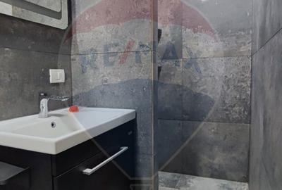 Garsonieră, mobilată în Rogerius - 12