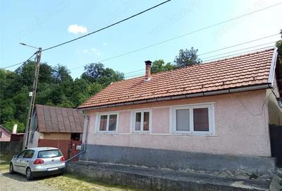 Casă cu Teren 1439 Mp în Anina - 2