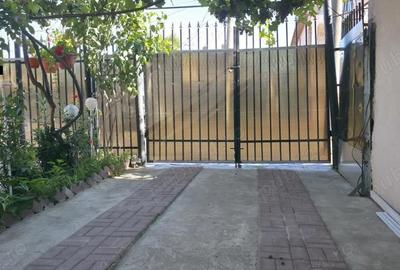 Casă cu 6 camere cu Teren 230 Mp în Viile Noi - 4