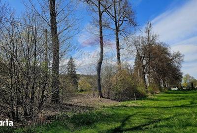 Teren de 10000 mp, în Vânători-Neamț - 14