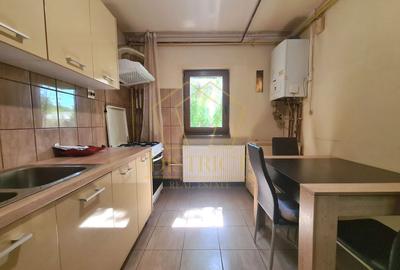 Apartament cu 2 camere semidecomandat, mobilat în Lipovei - 4