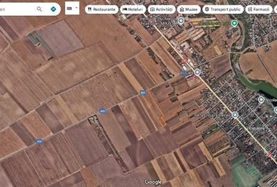Vand terenuri in zona Frumusani / Buciumeni / Budesti jud. Calarasi - 8