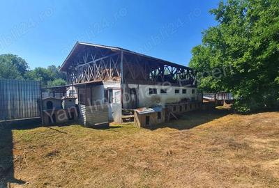Casă cu 4 camere cu Teren 1960 Mp în Central - 7