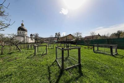 Casă Săsească Autentică cu Șură Impresionantă în Cristian - Teren 2729mp - 10