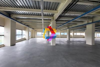 Spatiu - 600 mp #plus-imo.ro - 9