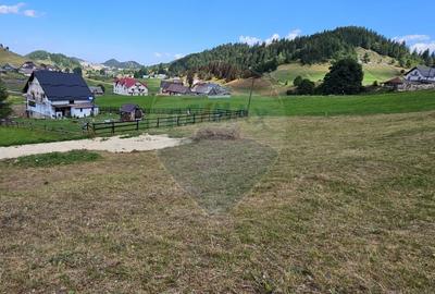 Teren la inaltime, 1034mp, Fundata- cea mai inalta localitate din tara - 5