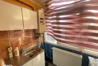 Apartament cu 2 camere decomandat, mobilat în Brazda lui Novac - 4