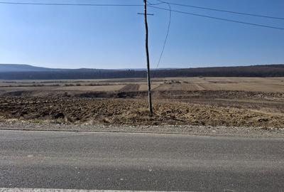 Spațiu comercial, în Mitocu Dragomirnei - 6