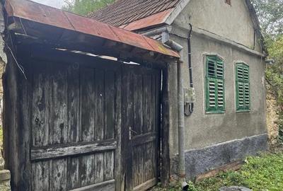 Casa de vanzare in Socolari - 3