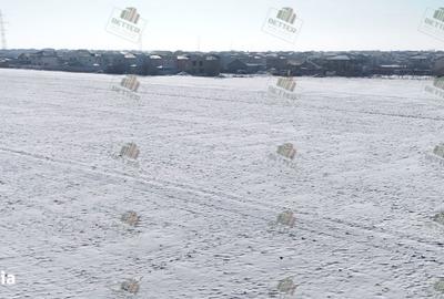 Teren de 9360 mp, în Berceni - 4