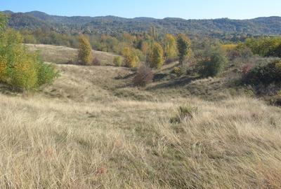 OFERTĂ SPECIALĂ! Teren intravilan de vânzare în Câmpina pe Dealul Muscel - 1