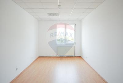 De vanzare Spatiu industrial de 10 129 mp Soseaua Borsului - 22