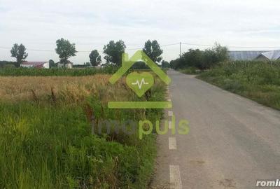 ? Teren Giurgiu, sat. Podisor, com. Bucsani? - 3