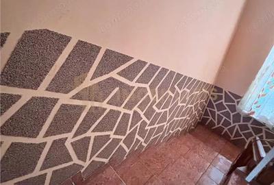 Casă cu Teren 1640 Mp în Satu Nou de Sus - 11