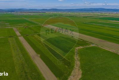 Teren de 4000 mp, în Prejmer