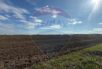 Teren Construcții intravilan de 26243 mp, în Periferie - 3