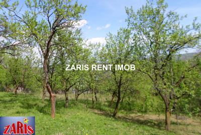 Teren Construcții intravilan de 3658 mp, în Predeal-Sărari - 8