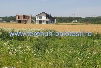 Teren de 500 mp, în Balotești