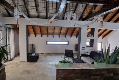 BUSTENI APARTAMENT VACANTA  4 CAMERE cu vedere  Caraiman si Castel Cantacuzino - 5