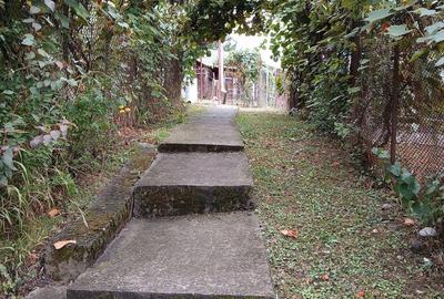 Casă cu 4 camere cu Teren 2700 Mp în Șișești - 3