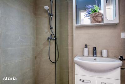 Apartament cu 2 camere, mobilat în Vitan