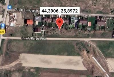 Teren intravilan in comuna Domnesti - sat Teghes