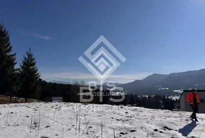 Teren intravilan Colibita 26 arii - 5