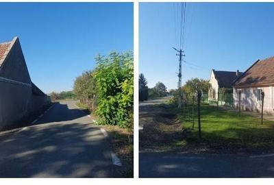 Casă cu 2 camere cu Teren 1386 Mp în Central - 5