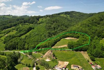 Spațiu comercial, în Poiana Mărului - 4