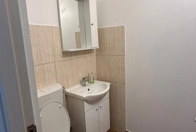 De inchiriat apartament cu 3 camere si 2 bai, mobilat ?i utilat, renovat complet, 400 euro luna - 6