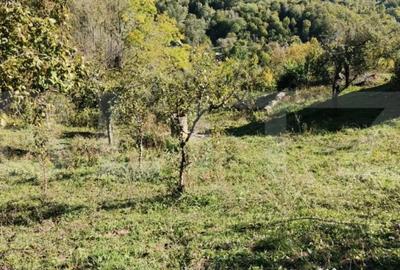 Teren de 2406 mp, în Central - 6